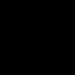 Meet your Posher, Shruti